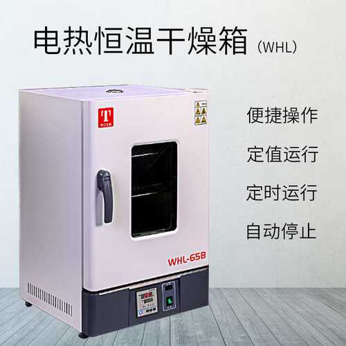 天津泰斯特 WHLL-65BE/WHLL-125BE 立式电热恒温干燥箱