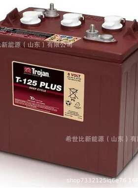 Trojan邱健蓄电池 T-145洗地机6V260AH升降机观光车堆高车
