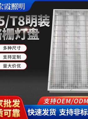 灯盘厂家明装镜面哑光铝灯盘T5T8多规格1200*600网格格栅灯盘