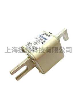 170M3020 170M3021 170M3023直流熔断器 电子元器件 库存充足