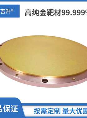 高纯半导体专用铂金靶材  99.99铂颗粒  铂电极 铂片 电镜铂靶