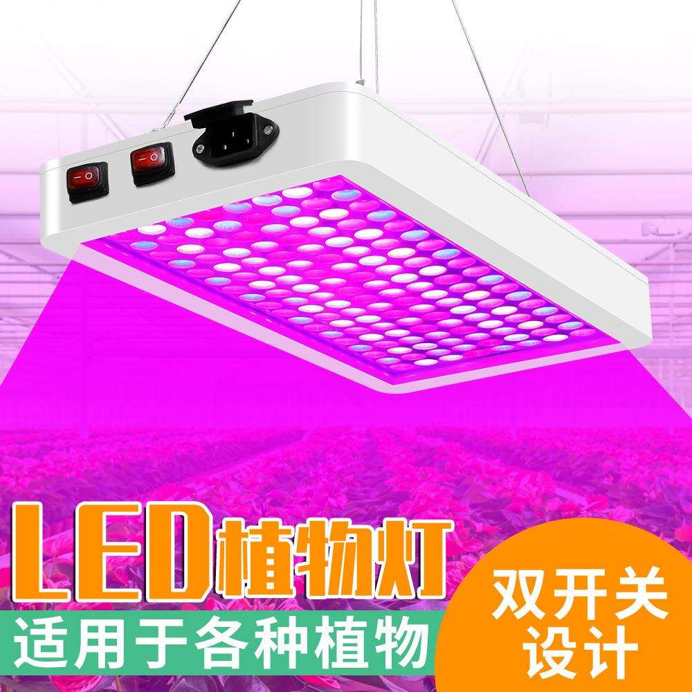 谦润照明植物大棚灯智能大功率多肉补光灯双模式温室LED生长灯