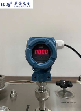 数显压力变送器 扩散硅压力变送器 4-20mA输出