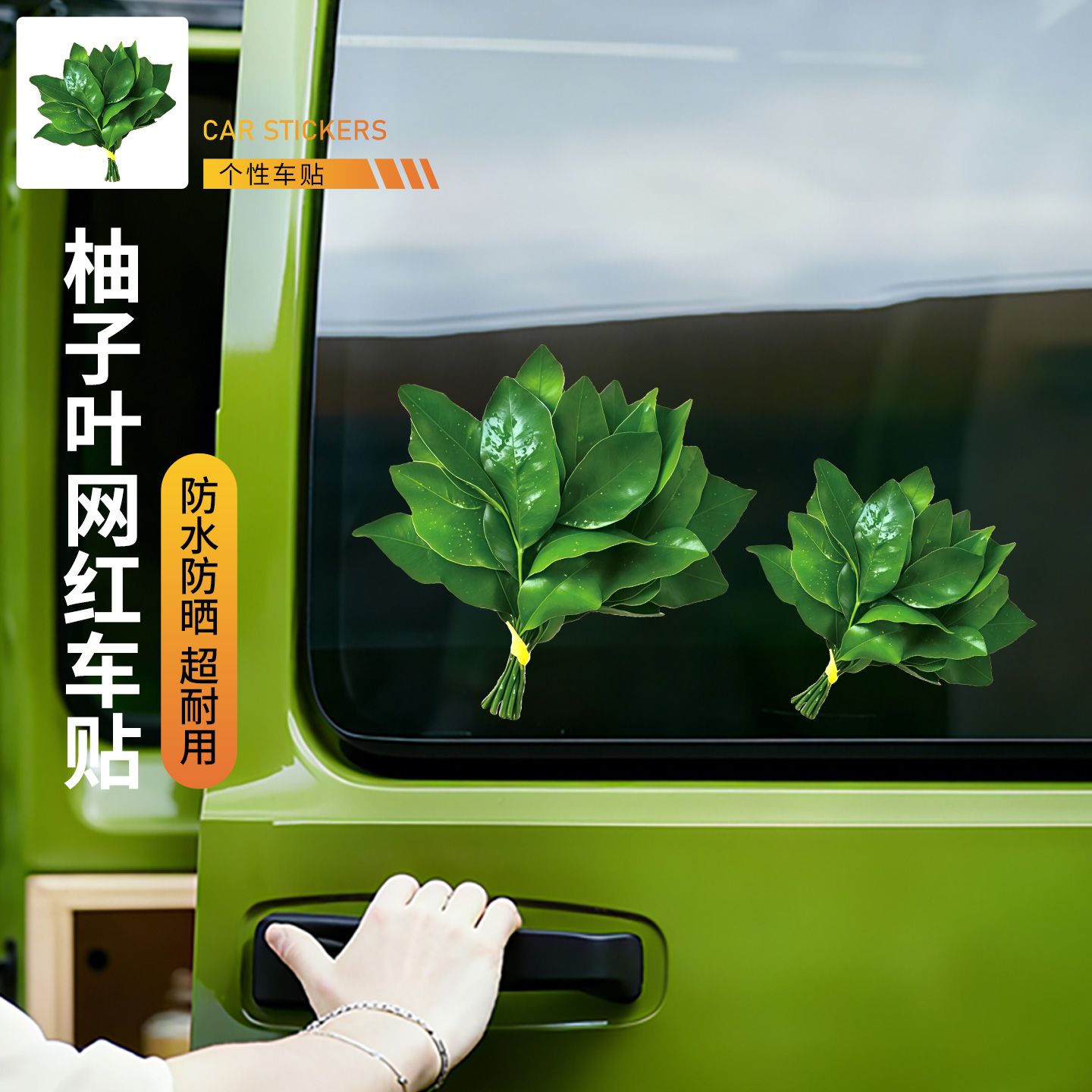 焕新版ModeY/3/YL柚子叶创意贴