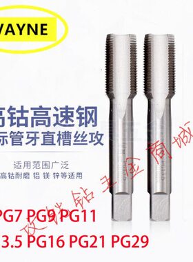 德标螺纹80度管牙直槽丝攻锥PG7/PG9/PG11/PG13.5/PG16/PG21/PG29