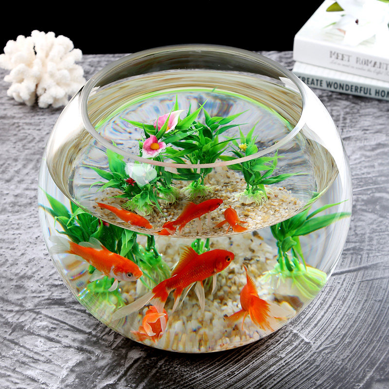 创意小型桌面玻璃圆形鱼缸大号客厅加厚家用圆型超大圆球透明招财,宠物/宠物食品及用品,桌面缸,淘宝优惠券,粉丝福利购,淘宝优惠卷