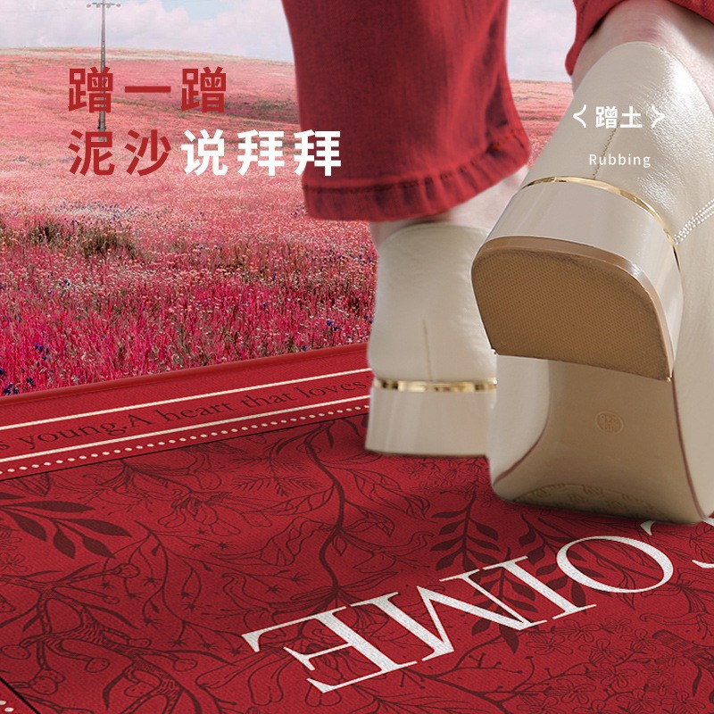 入户门地垫玄关进门防q滑门垫家用卧室门口吸水防尘垫客厅耐脏地