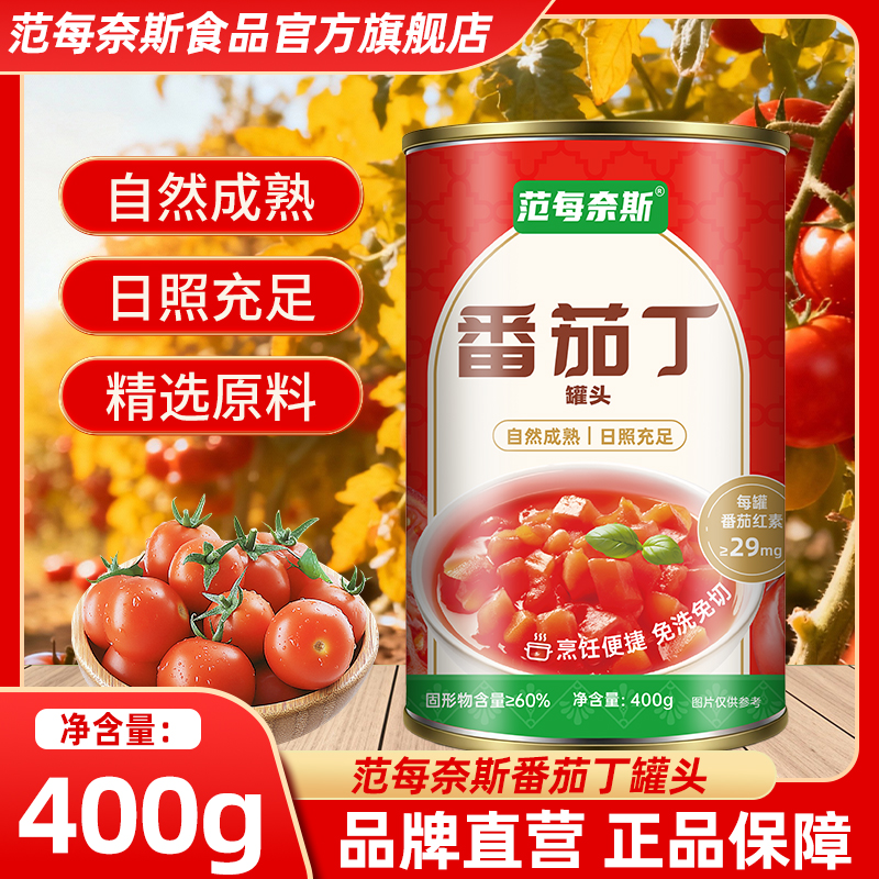 范每奈斯内蒙番茄丁罐头400g自然成熟新鲜原料家用免切西红柿罐头