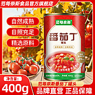 范每奈斯内蒙番茄丁罐头400g