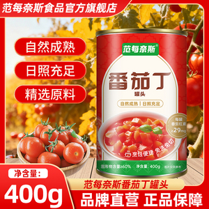 范每奈斯内蒙番茄丁罐头400g