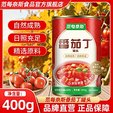 范每奈斯内蒙番茄丁罐头400g