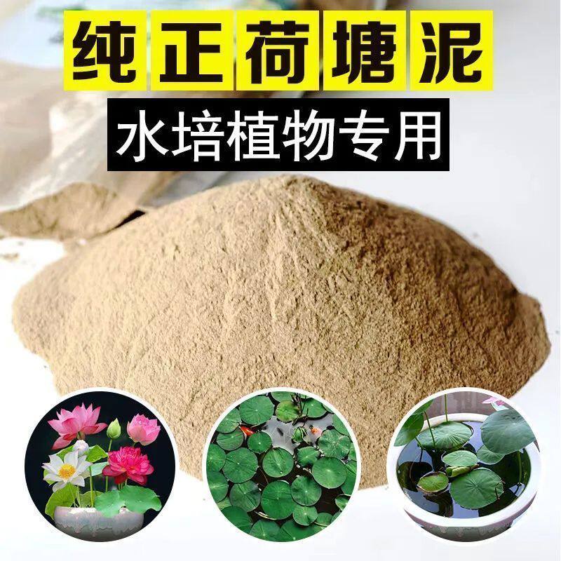 碗莲专用泥荷花铜钱草水培泥炭土