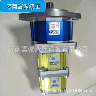 优惠供意大利VIVOLO三联泵9M352BGA494520VIVOIL原装 多级齿轮串泵