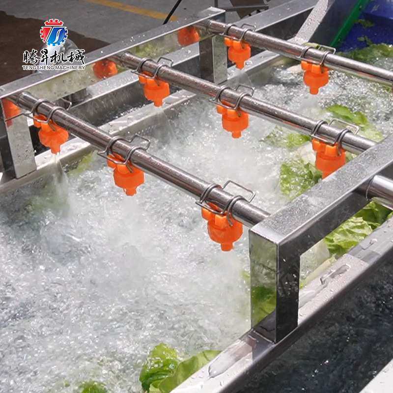 全自动不锈钢气泡清洗设备 多功能果蔬喷淋式清洗机 气泡洗菜机,鲜花速递/花卉仿真/绿植园艺,其它园艺用品,淘宝优惠券,粉丝福利购,淘宝优惠卷