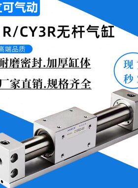 20-C02560-C无杆气缸-15滑轨-0R4030Y3偶磁020Y-101-00式R/0/5010