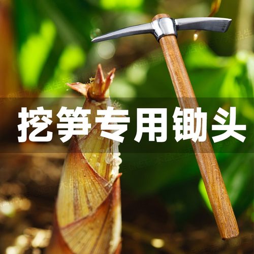挖笋专用神器不锈钢锄头加厚户外多功能小型挖野菜工具镐斧两用
