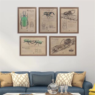 牧野虫社甲虫主题海报照片相框挂墙复古木质高级感画框装裱装饰画