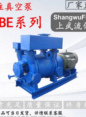 2BE型水环式真空泵 2BE202/2BE203/2BE252/2BE253/2BE303型真空泵