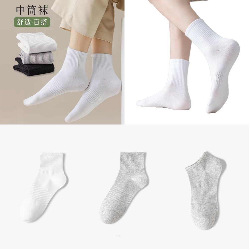 2025年秋季中筒浙江诸暨