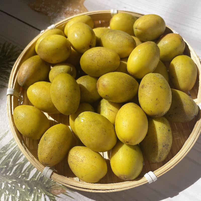 现摘现发广东潮汕特产新鲜青橄榄新果孕妇水果腌制煲汤榨汁包邮