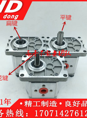 齿轮泵CBN-F304/F306/F308/F310/F312/F314/F316/FR318/F320/F325