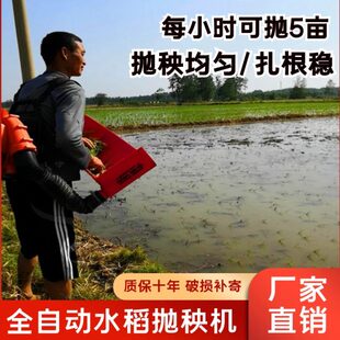 盘秧机器抛秧全自动农村插小型家用机稻抛秧神器农用水稻栽秧水种