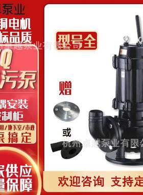 潜水排污泵WQ大排量高扬程清淤水泵市政工程铸铁污水泵