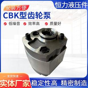 小型齿轮泵升降机齿轮泵小排量齿轮油泵CBK系列微型液压齿轮泵