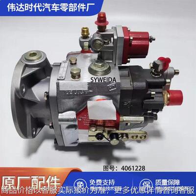 PT燃油泵4061228-20柴油机零件喷射泵M11 M11-C350
