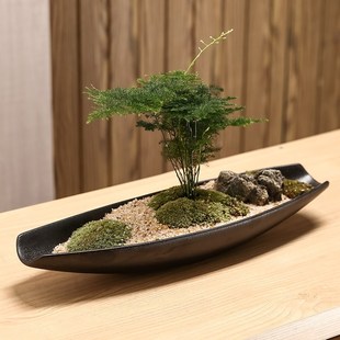 长盆景陶瓷花盆微景观黑皮革釉面北欧简约球藓蕨类植物花卉创意