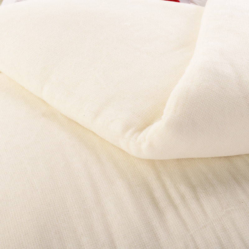 纯棉花被子冬被全棉1.8x2.0x1.5米m棉絮床垫春秋被芯新疆棉被被褥