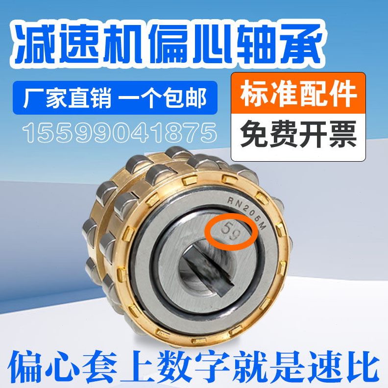 减速机偏心轴承RN204 RN205 RN206 RN307 RN309 RN312 RN219整体