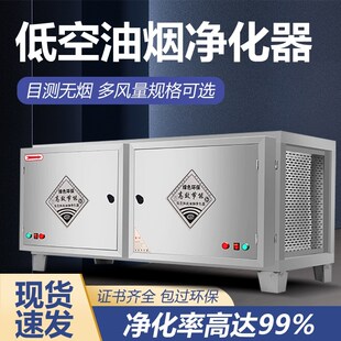 除油烟味低空排放净化器厨房饭店商用餐饮烧烤高风量静电包过环保