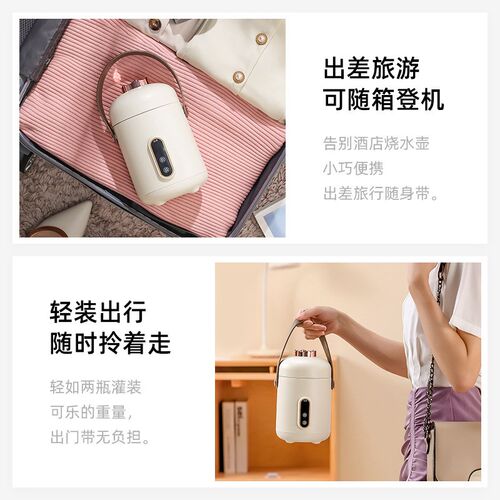 家用迷你小型电炖锅1-2人便携多功能煲汤煮粥熬粥办公养生电炖盅