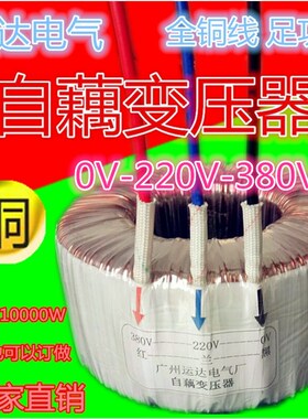 环形自耦变压器 110V转220V 850W900W950W1000W1200W1500W(VA)