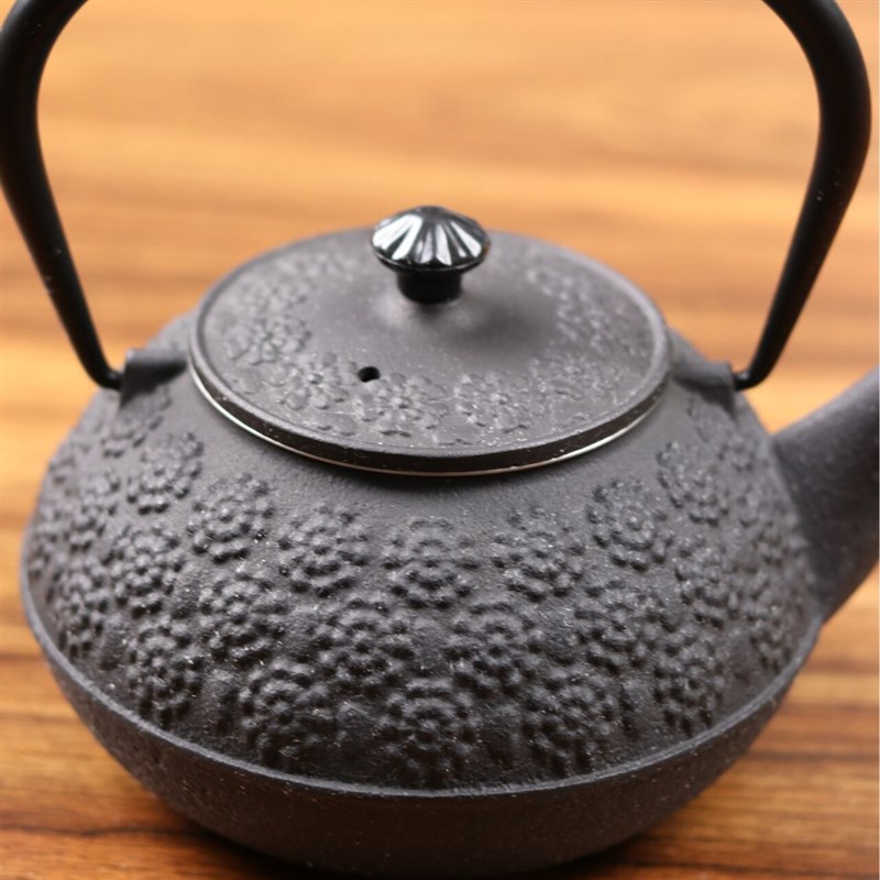 铁壶煮茶壶烧水壶泡茶专用碳火炉电陶F炉器具户外铸铁茶壶围炉煮