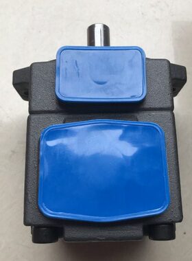 B  折弯机 EB叶片泵EB油泵Y-3250专用 Y-32叶片泵      Y-E-