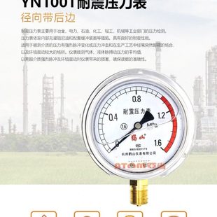 鹳山YN100T不锈钢船用耐震压力表径向带边yn60t抗震表1mpa鹤山304