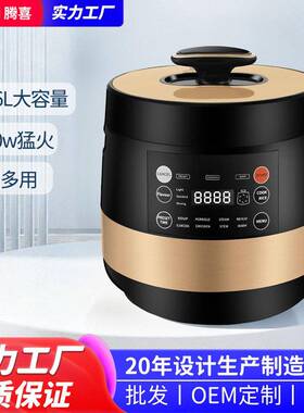 外贸跨境工厂商用电压力锅5L/6L大容量家用自动智能电饭煲压锅