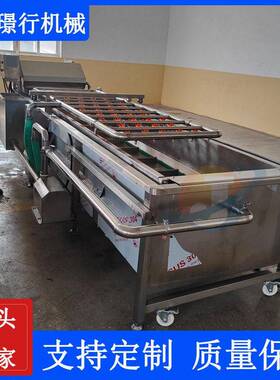 连续式果蔬气泡清洗机葡萄水果蔬菜清洗设备鼓泡全自动洗菜机器