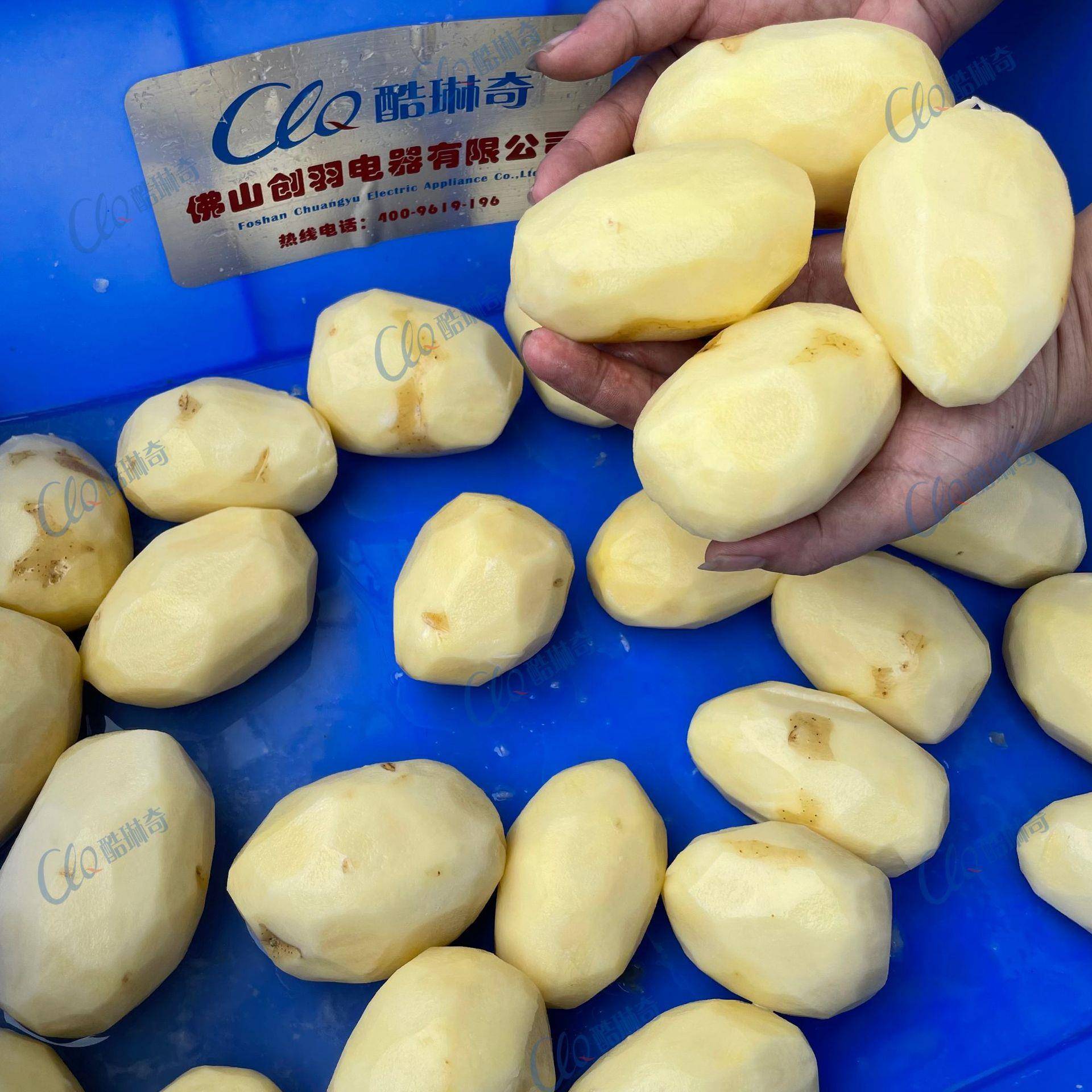 A商用全自动无损伤土豆刨皮机马铃薯去皮机球根茎土豆削皮机