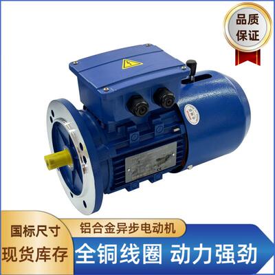 B3卧式电磁制动三相异步电动机铝壳直流刹车马达BMD6324YEJ6324