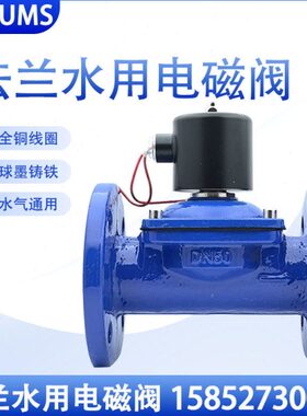 式0直2W法兰球墨铸铁动水用电磁阀220压启动D00V 24VN1电磁开关阀