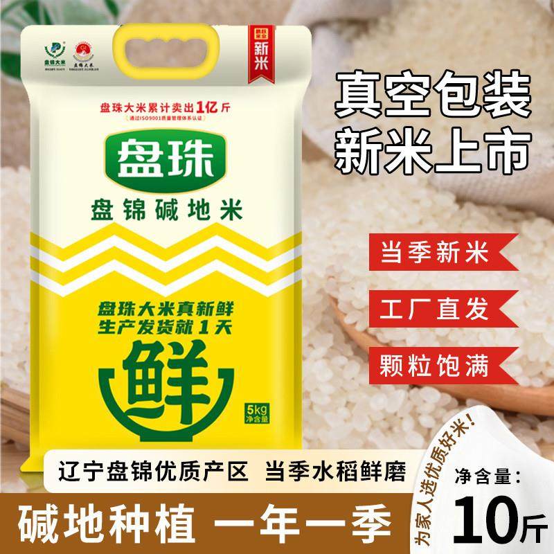 碱地大米10斤2024年新米东北大米5斤盘锦大米蟹田米5kg长粒香大米