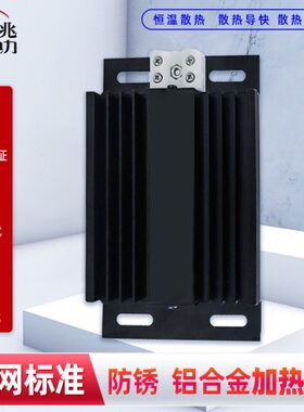 20电热板100*23铝合金 J 50R加热板RD防锈DJ加热器* 0W黑色0