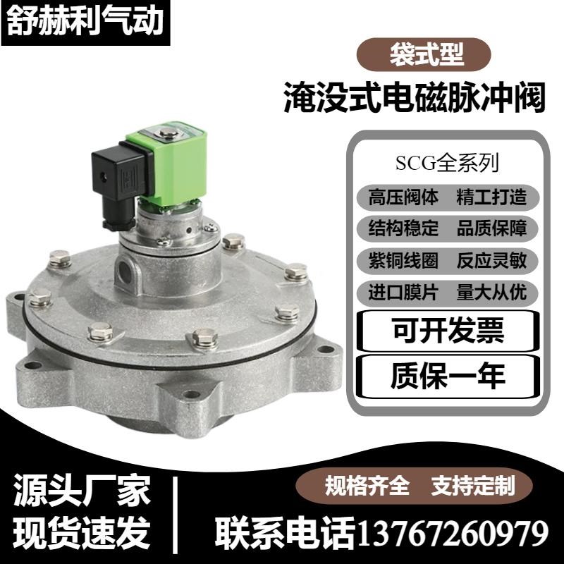 淹没式电磁脉冲阀袋式DMF-Y-p76S/25/40S/50S/62S/76S/102SA/DN80