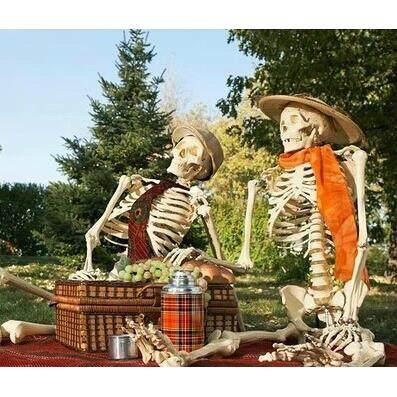 170cm逼真塑料骷髅骨架鬼屋装饰密室道具万圣节用品万圣节道具,清洗/食品/商业设备,风口/风叶/风机配件,淘宝优惠券,粉丝福利购,淘宝优惠卷