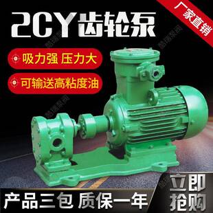 牌2CY齿轮油泵齿轮输油泵高压齿轮泵齿轮润滑油泵