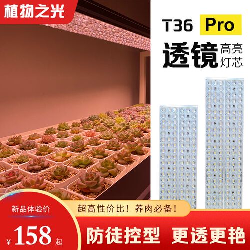 植物之光T36聚光透镜LED全光谱自然光防徒上色室内家用多肉补光灯