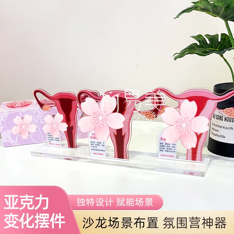 女性一探究竟指尖秘境子宫变迁密境模型沙龙青春悄逝月子会所美容